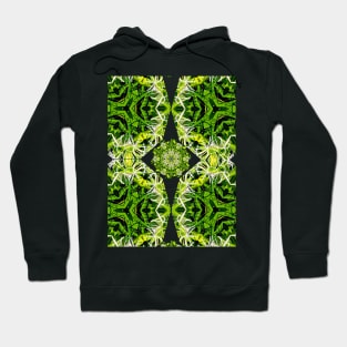 Beautiful Swamp lily flower pattern. Hoodie